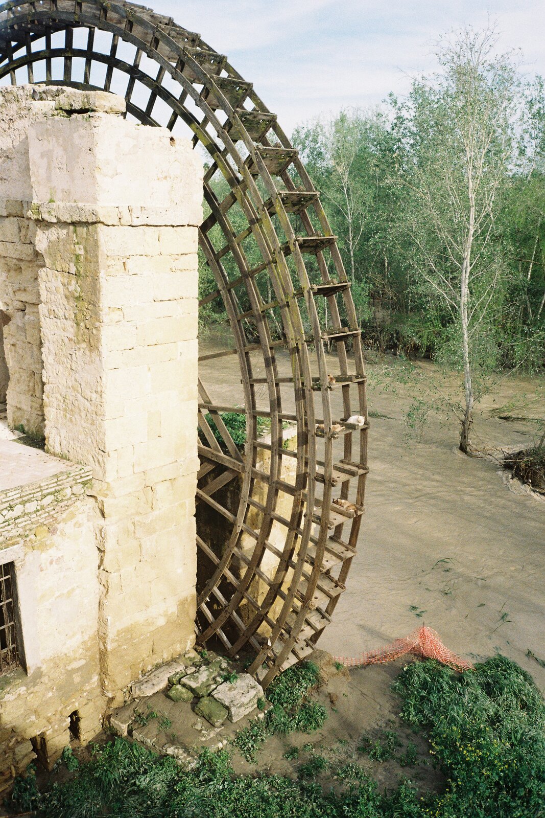 1000164844.jpg
