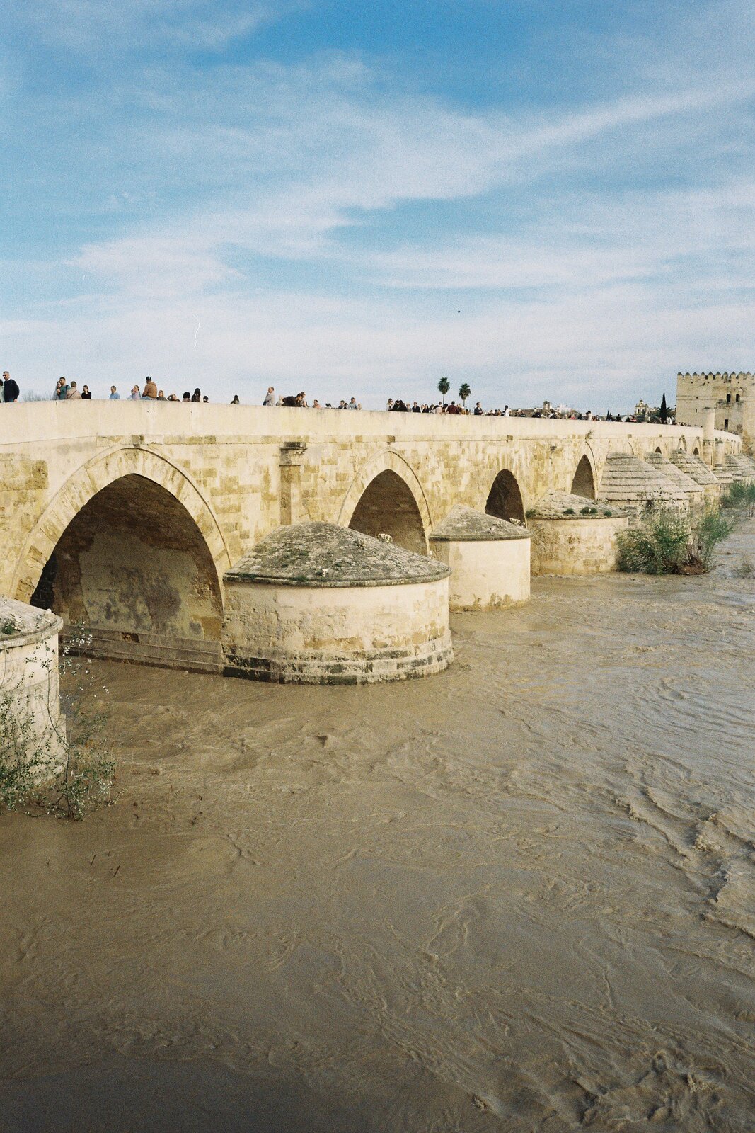 1000164847.jpg