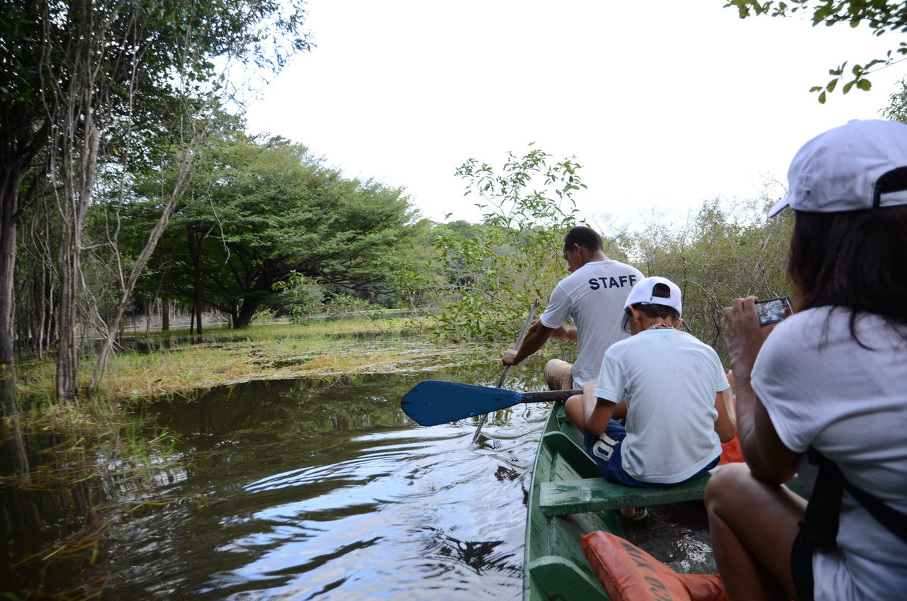 130130 tarde canoa Río Negro-Manaos BR 037.JPG