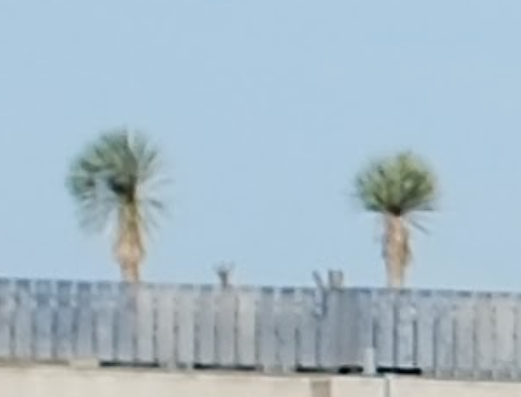 1712745306355.png