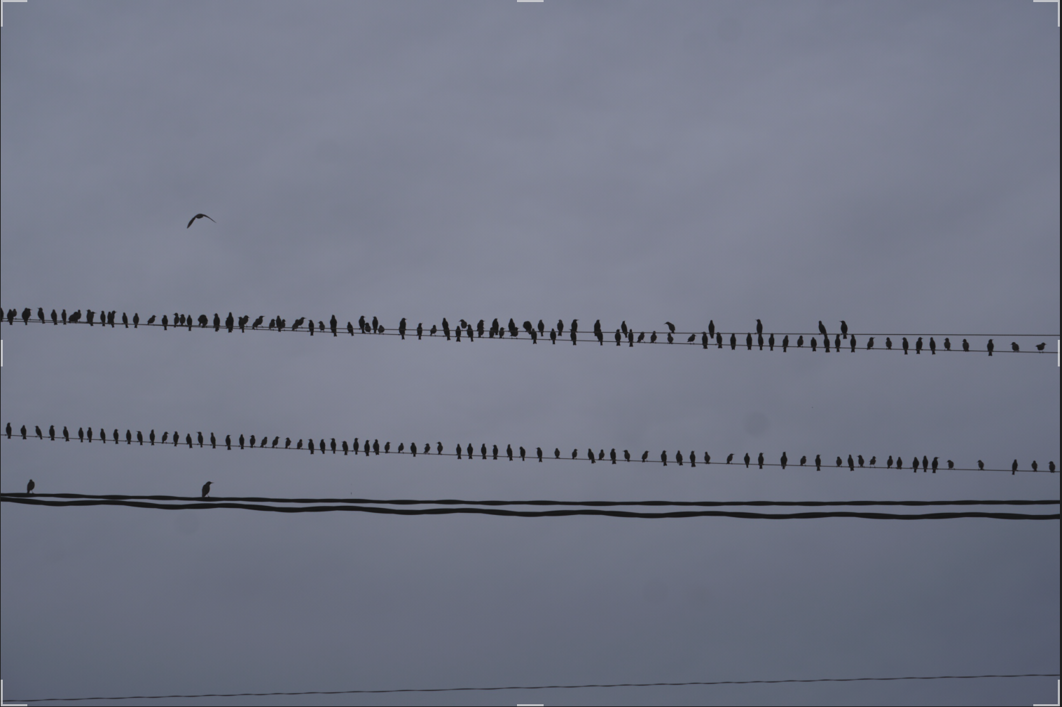 1746982559751.png