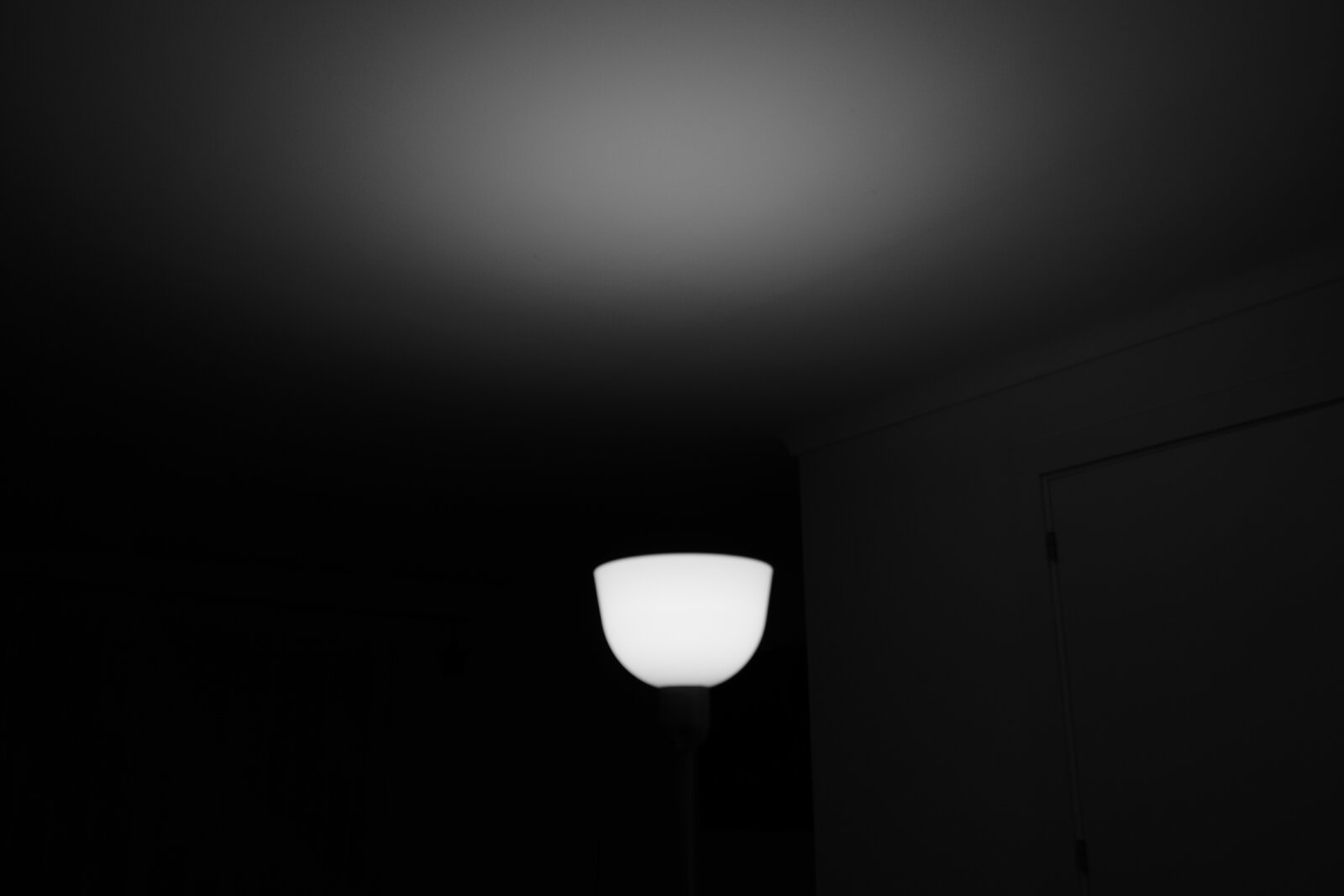1775497612000_R0000287.jpeg