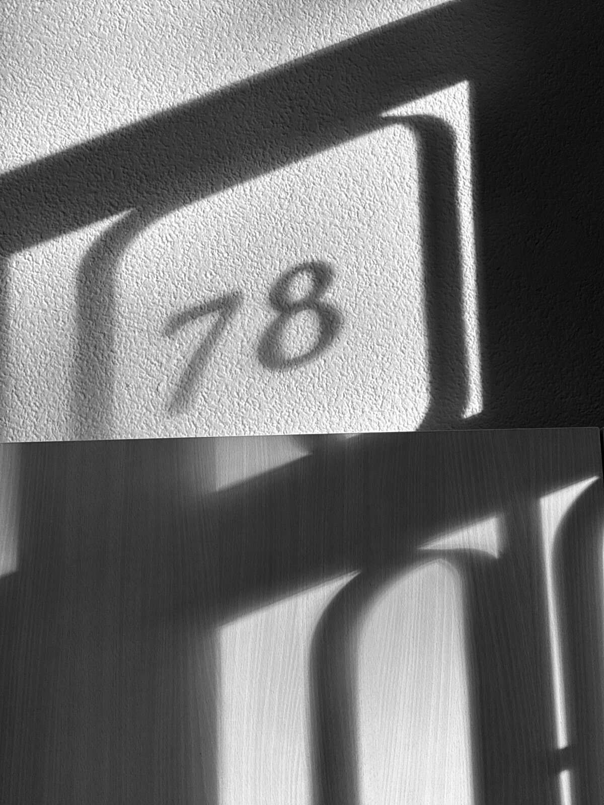 1785741612343.jpeg