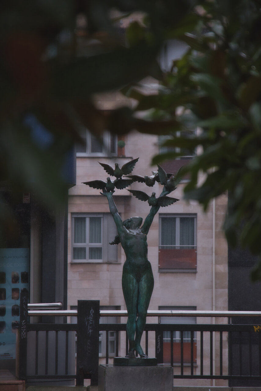 20 enero X-H1 con XF 18-135 mm.jpg