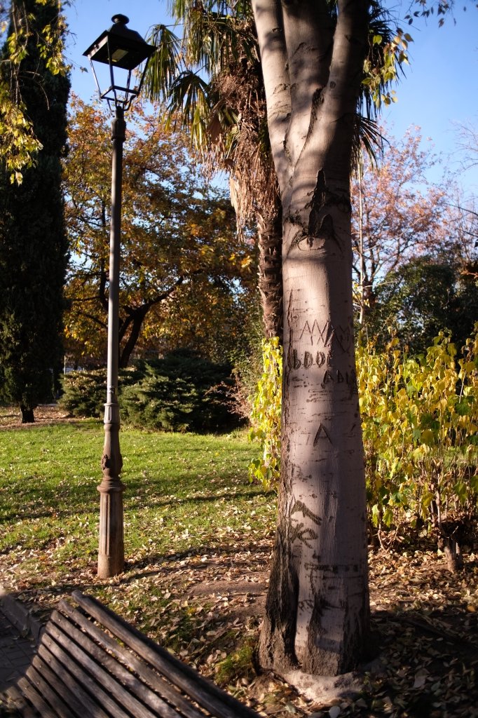 201122 paseos por Mostoles Kamlan - ES 062.JPG
