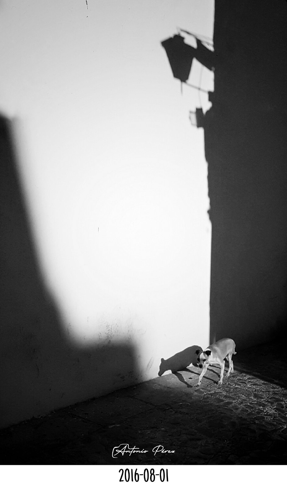 2016-08-01.jpg