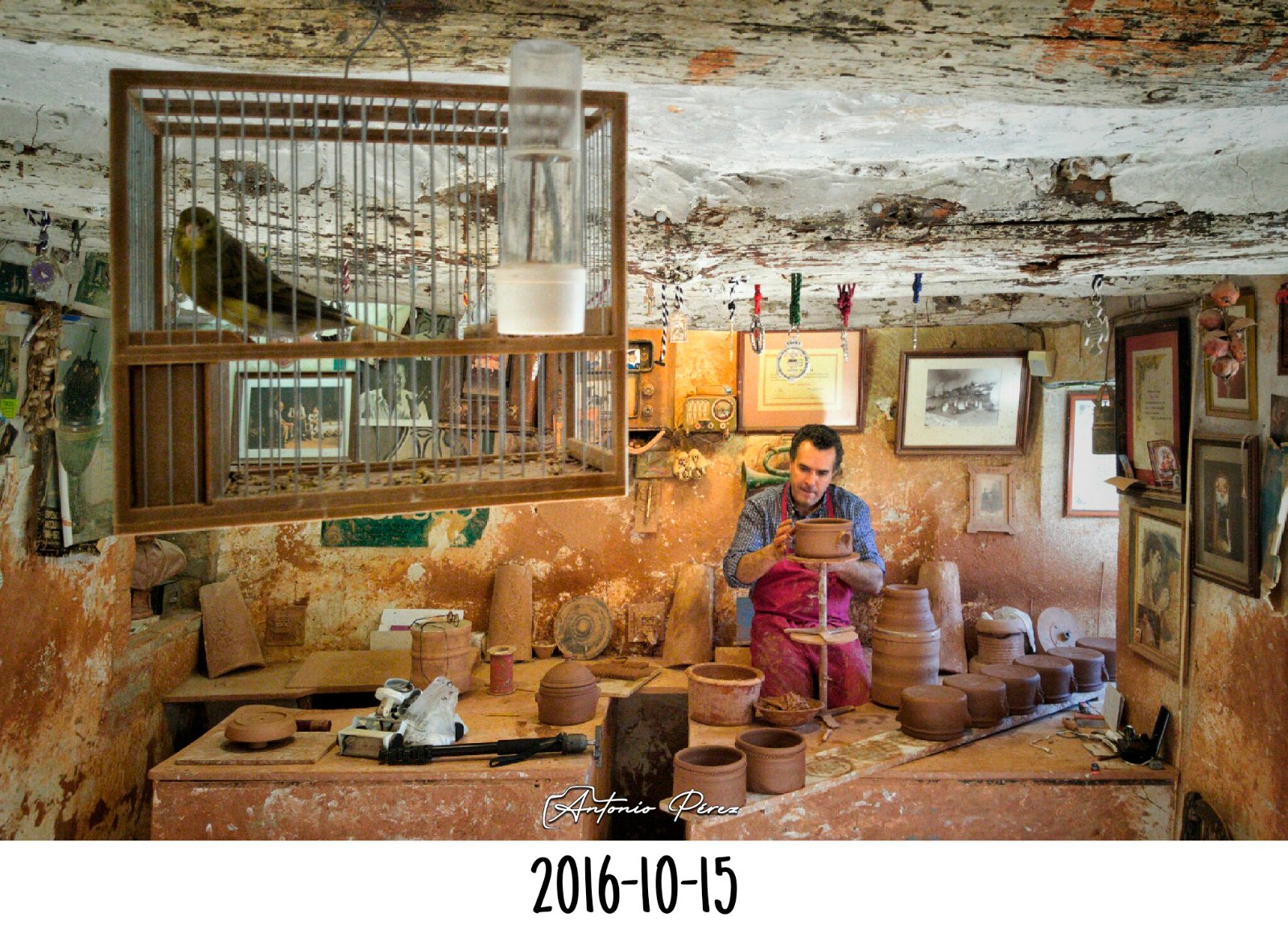 2016-10-15.jpg
