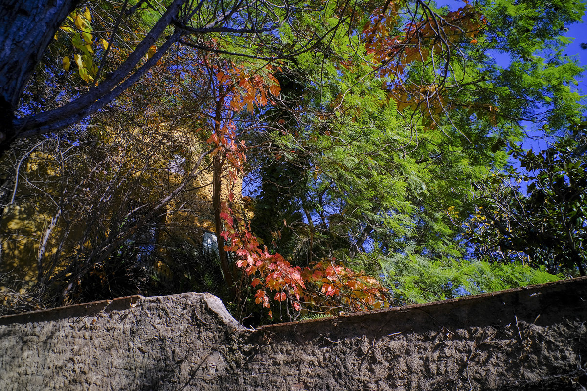 20201108-130820 BR.JPG
