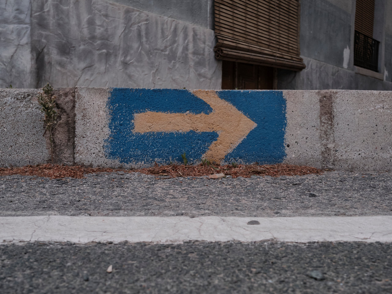 20210402_JoséLuisSánchez_DSF3628_C1_1600.jpg
