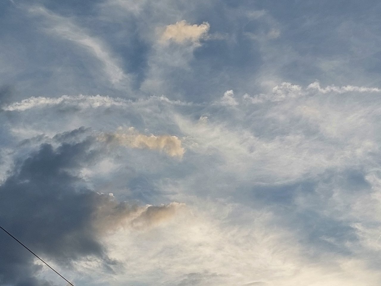 20230910_195423.jpg
