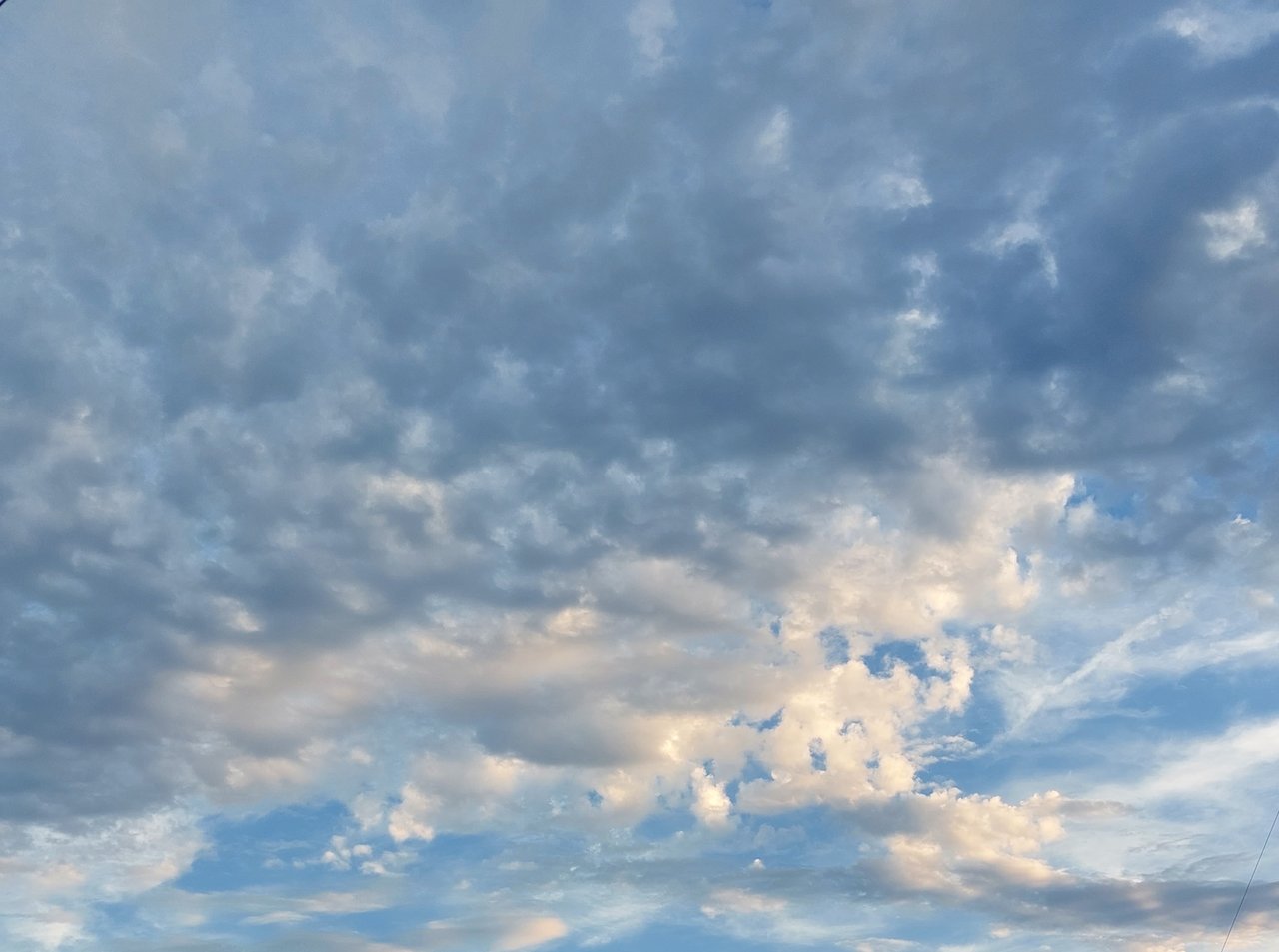 20230910_195730.jpg