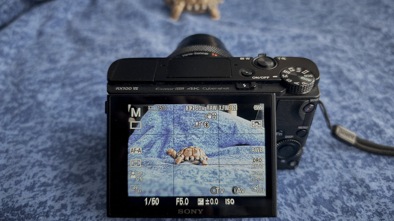 20240521 Sony RX100 VII 4.jpg