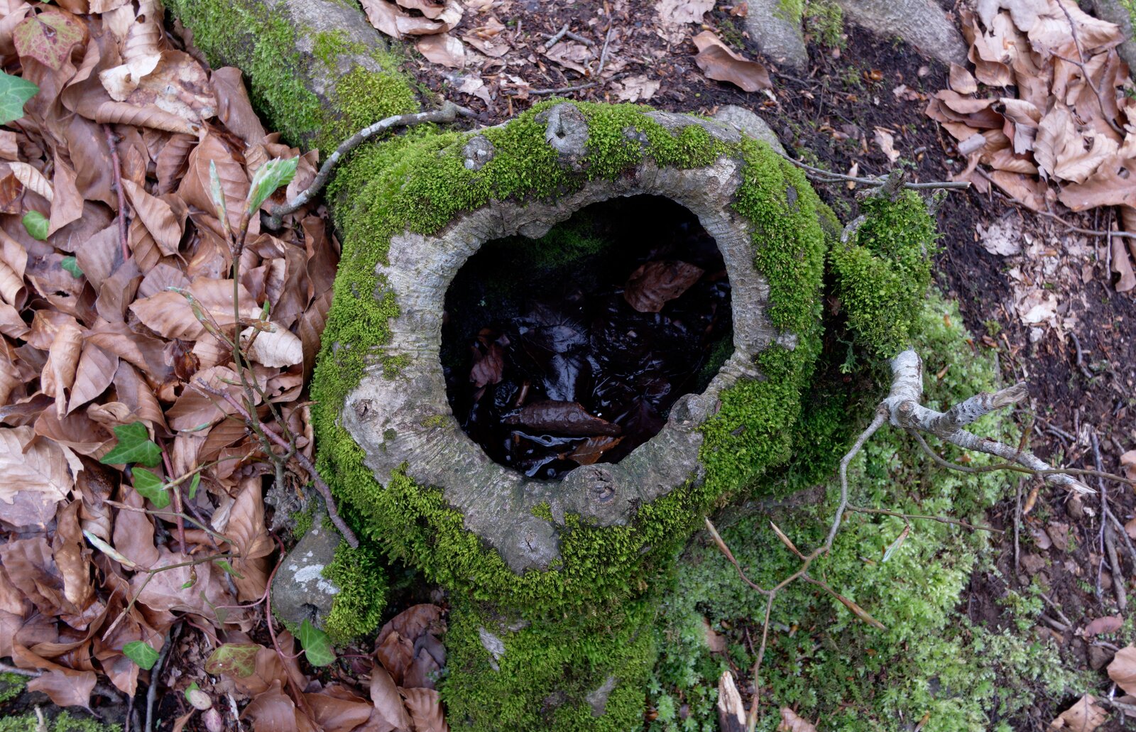20250414-DSCF5551.jpg