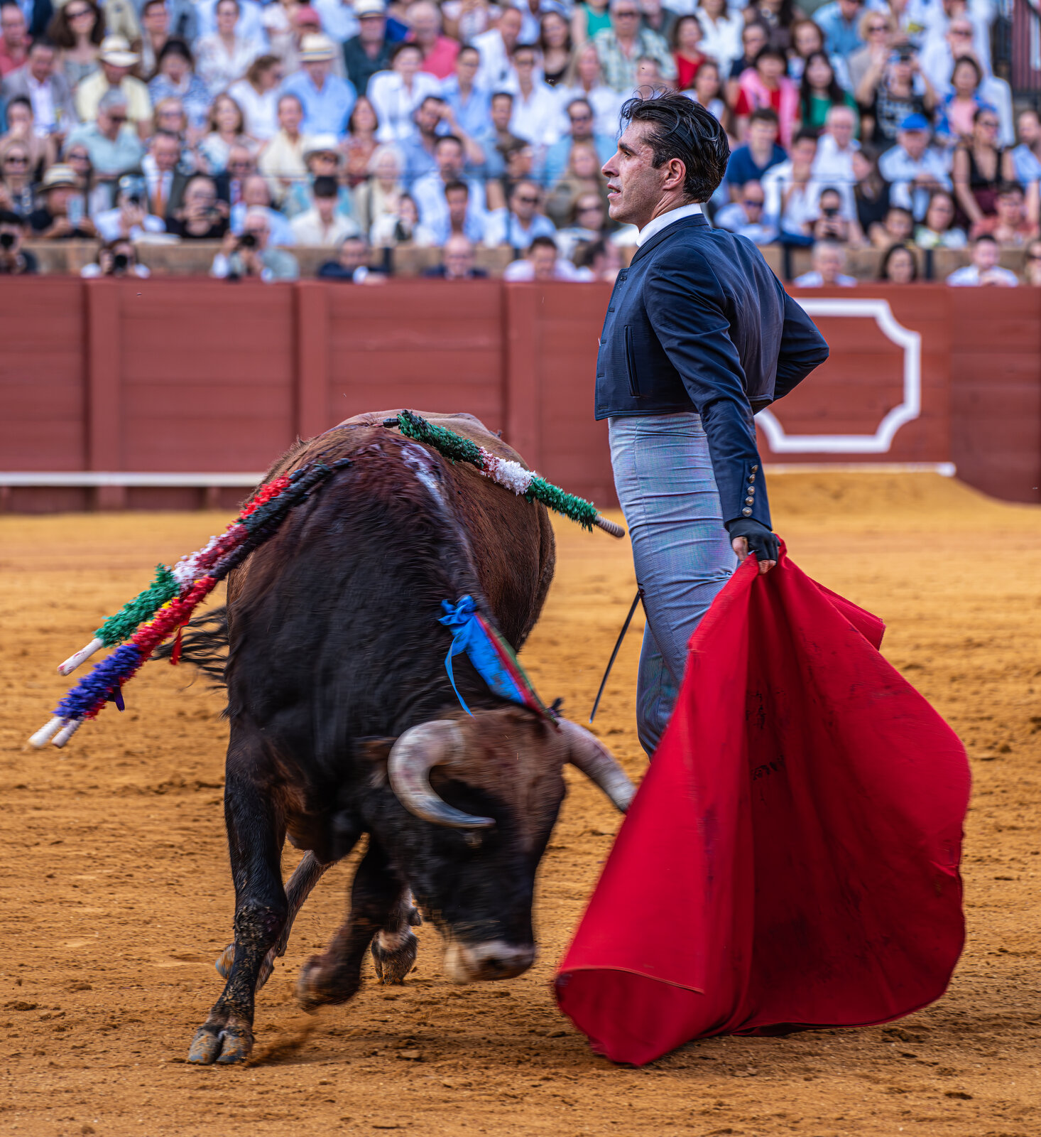 20251013@181919_630FESTIVAL TOROS EN LA MAESTRANZA  -Editarred4000px.jpg