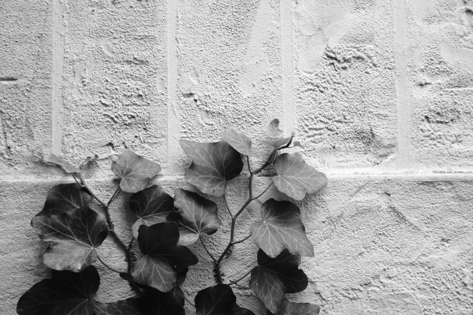 2025_0622_23021900.jpg