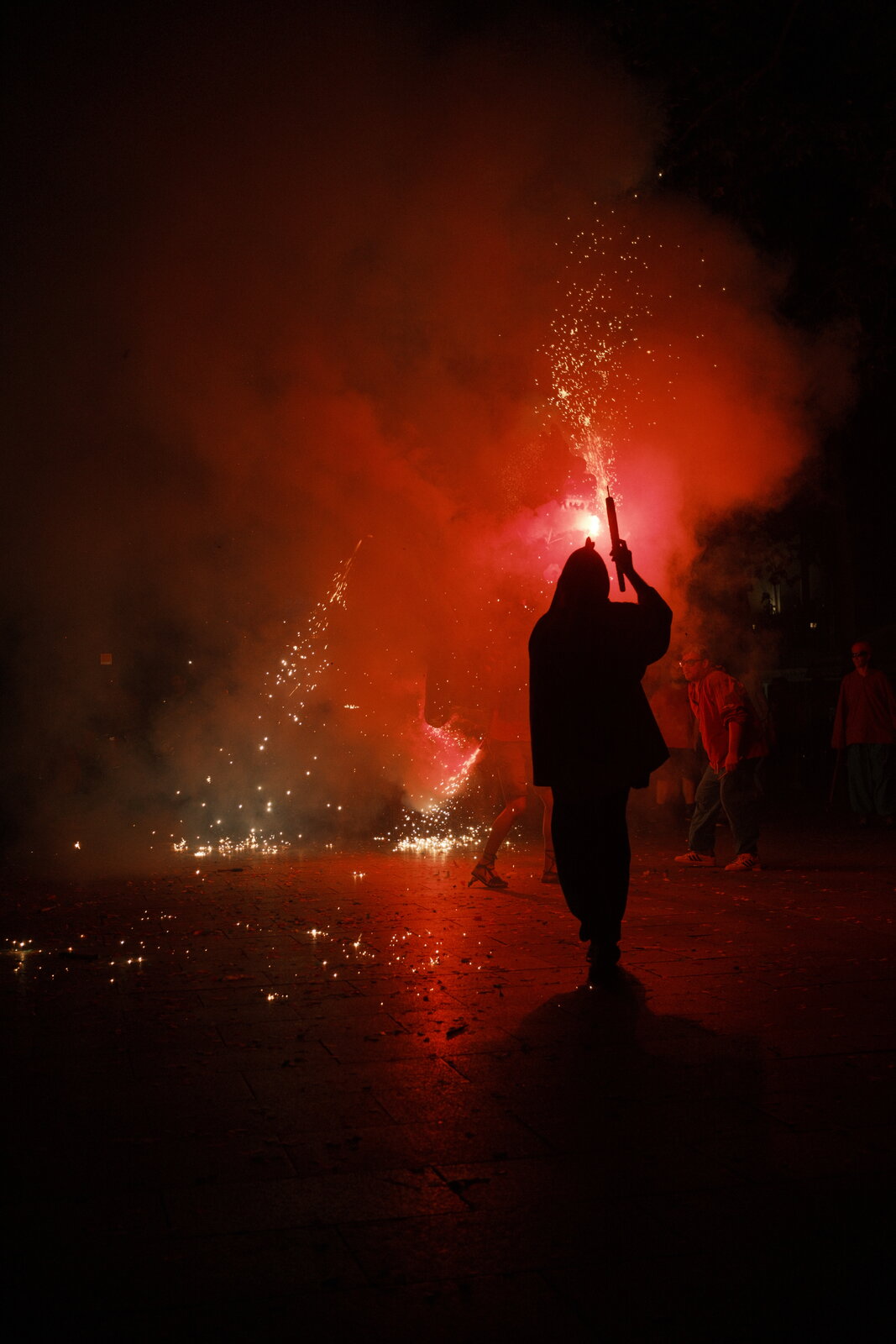22. 105) Aniversari Gegants i Drac de Terrassa 53.JPG