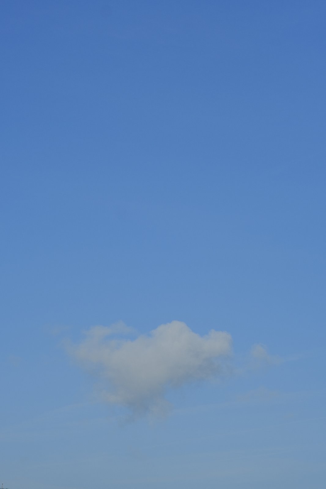 23. _X304535.JPG