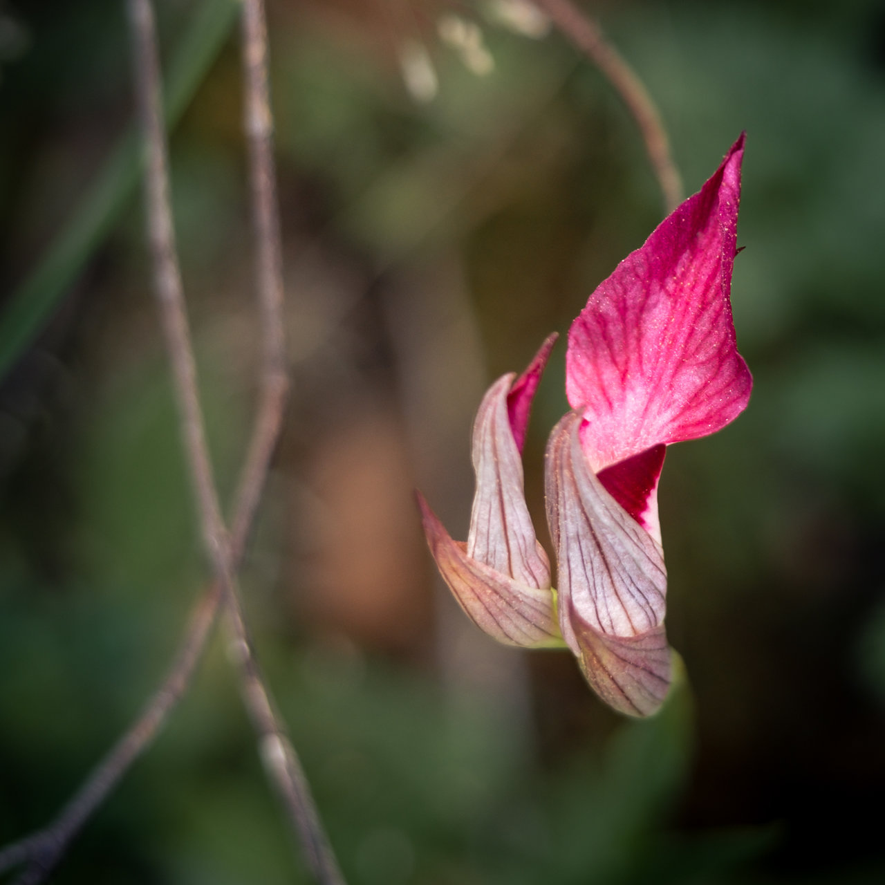 24032024-_DSF8127.jpg