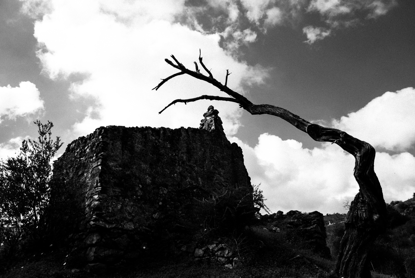 30102008-DSC_0116.jpeg