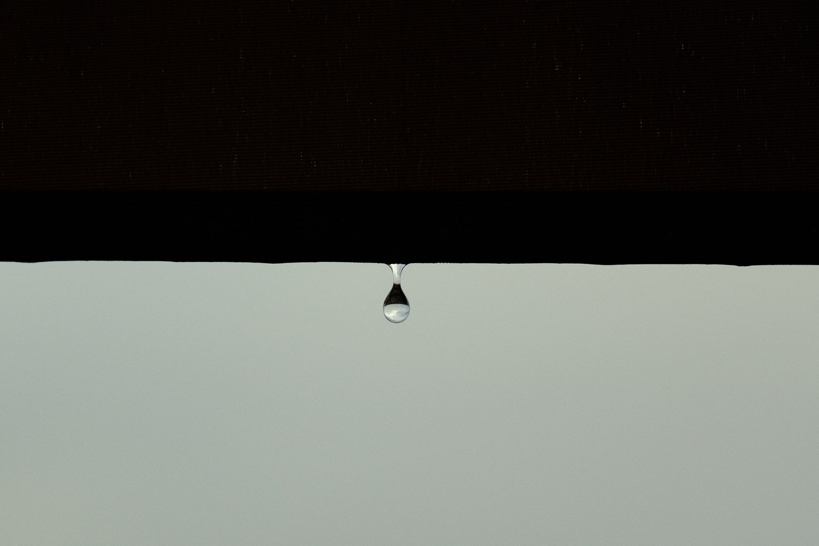 30_Fuji Abstracta&Varias 174_.jpg
