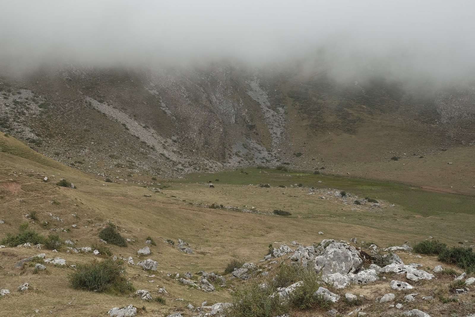 34. _X302159.JPG