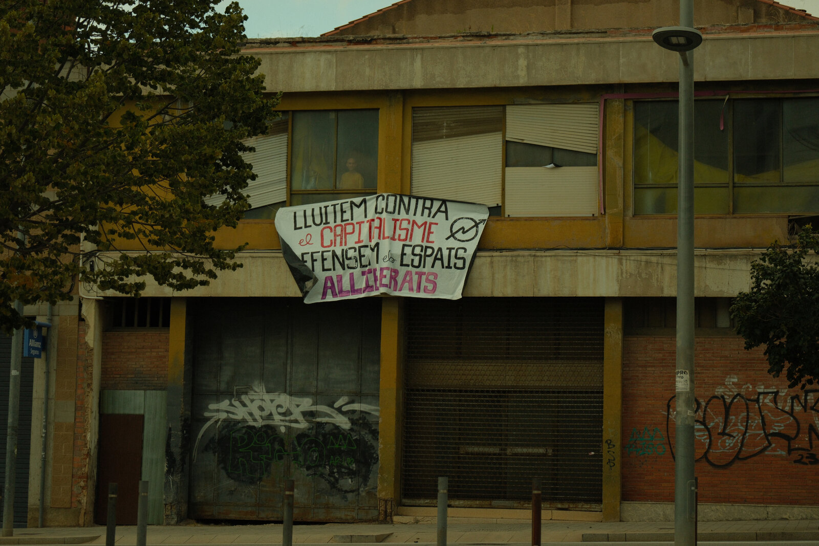 35.Fuji Street&Urbana 399_.jpg