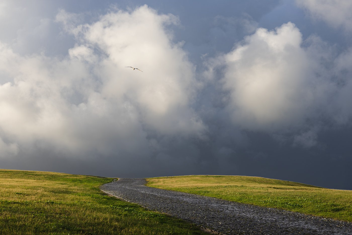 3E6A0340-noframe.jpg