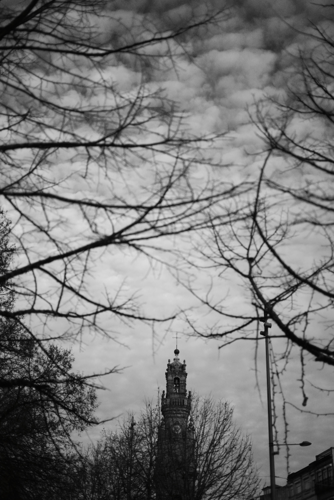 3E6A1498.jpg