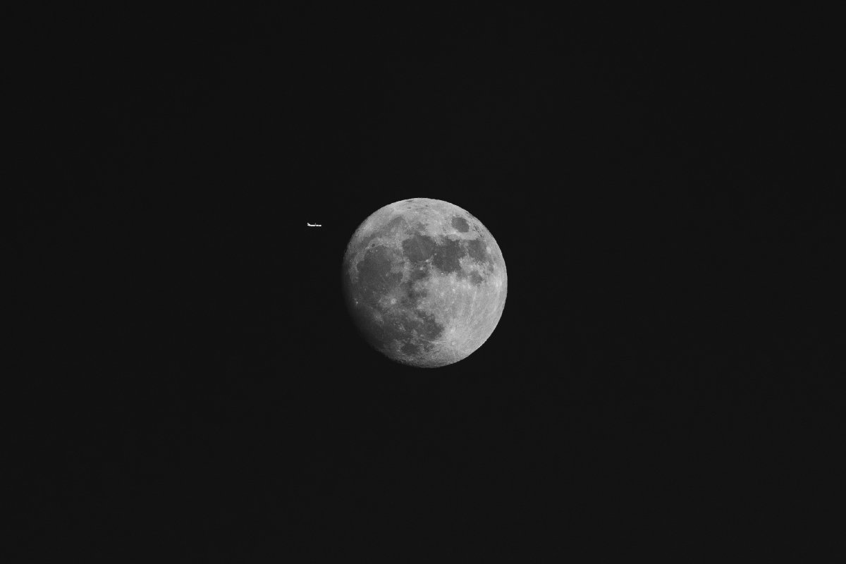 3E6A8143.jpg