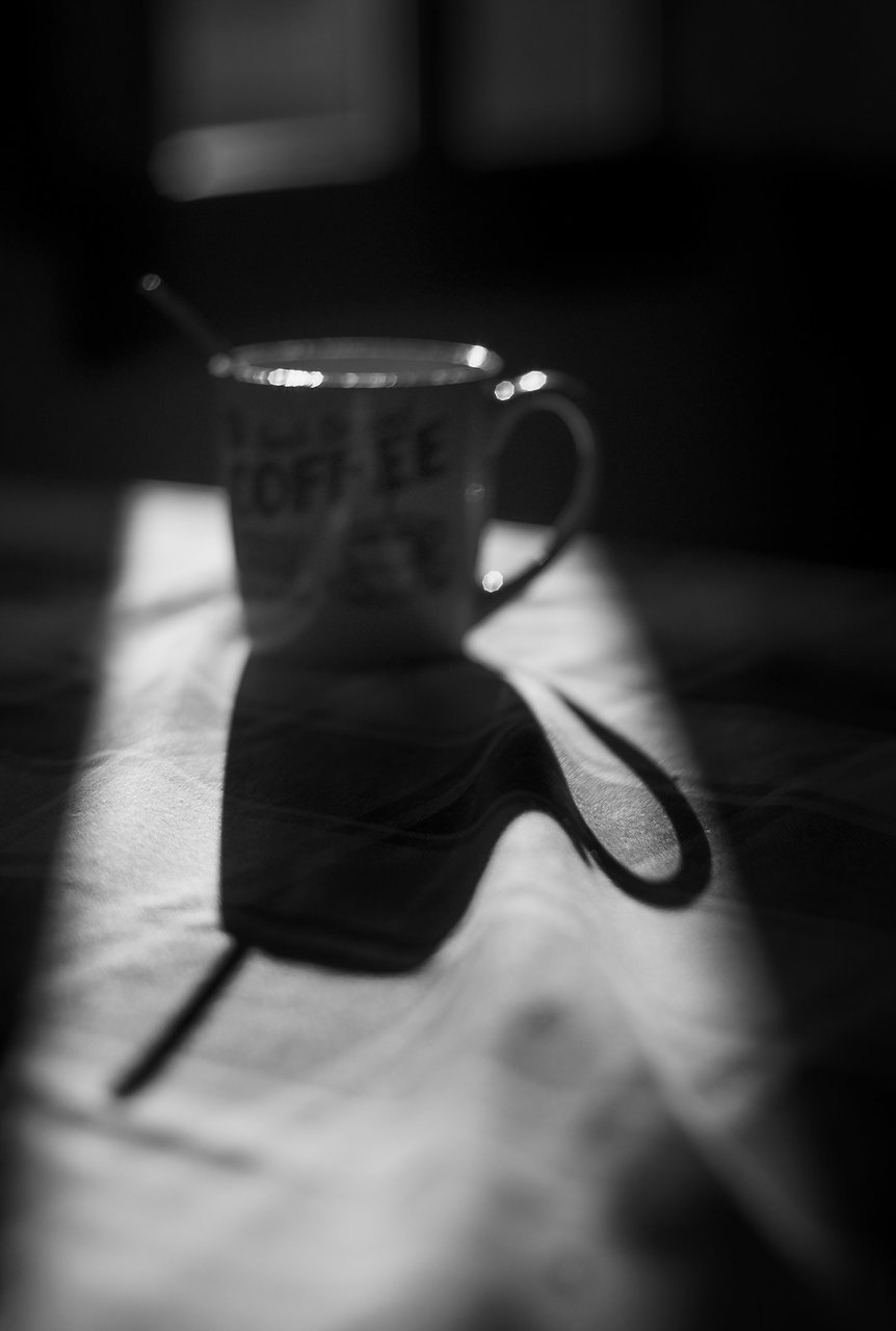 50740737241_5f144adfed_k.jpg