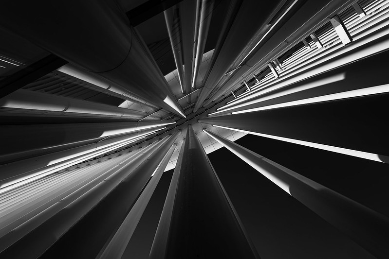 52629391273_ba2f4f2e52_c.jpg