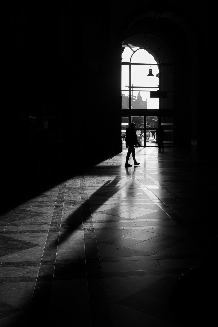 53173756838_20f4df8836_k.jpg