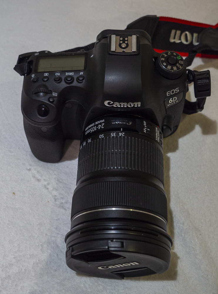 6D MKII-2.jpg