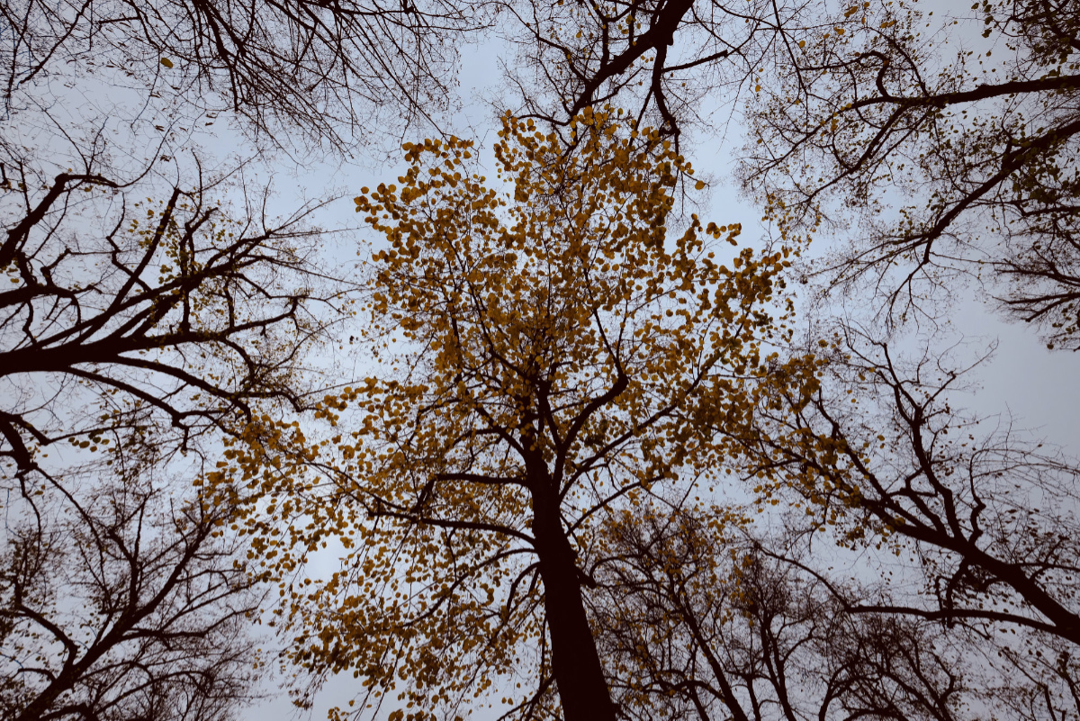 9E317CAD-CFBB-4B34-8382-2846449BEA84.jpeg