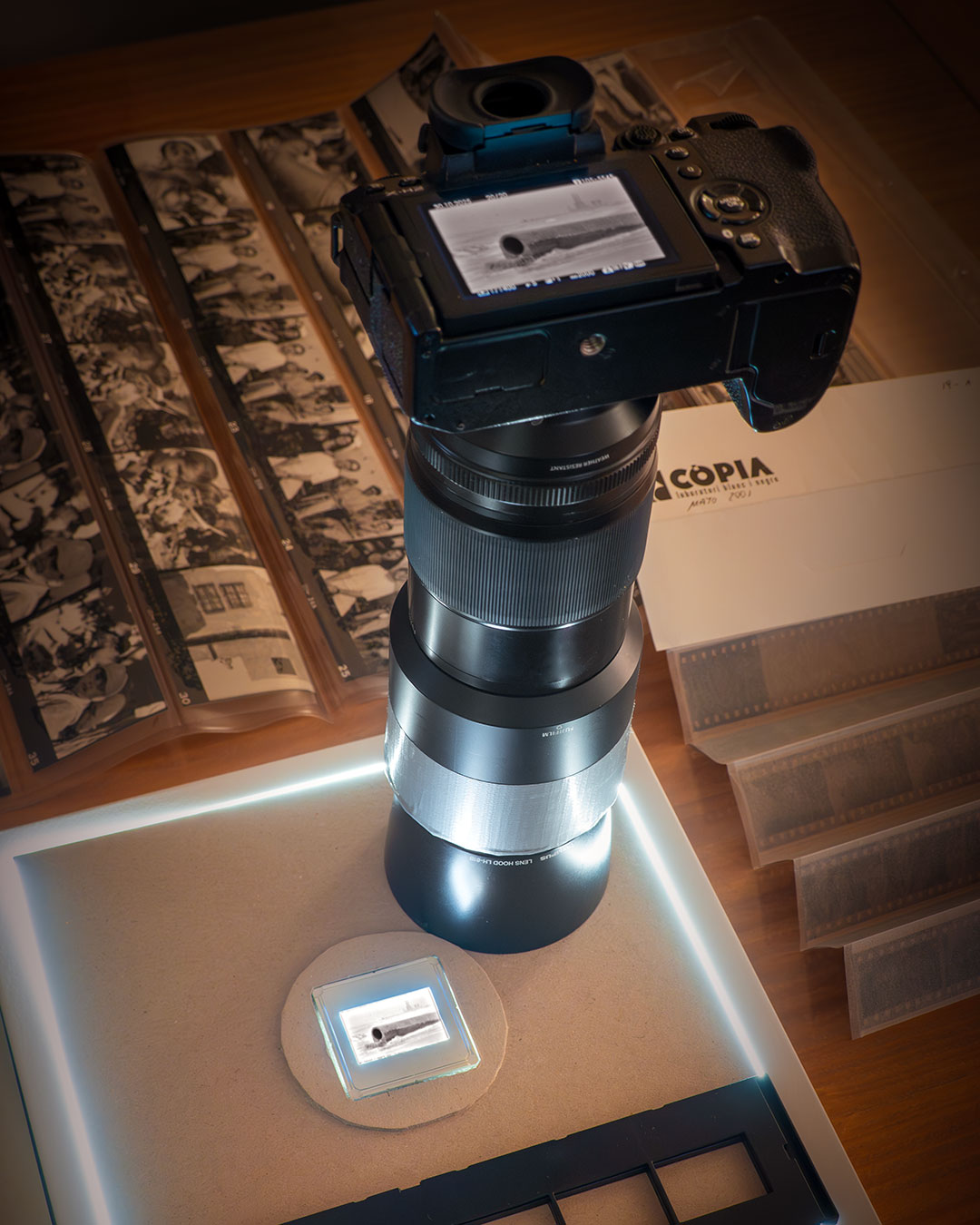 _1010710F.jpg _1010710F.jpg