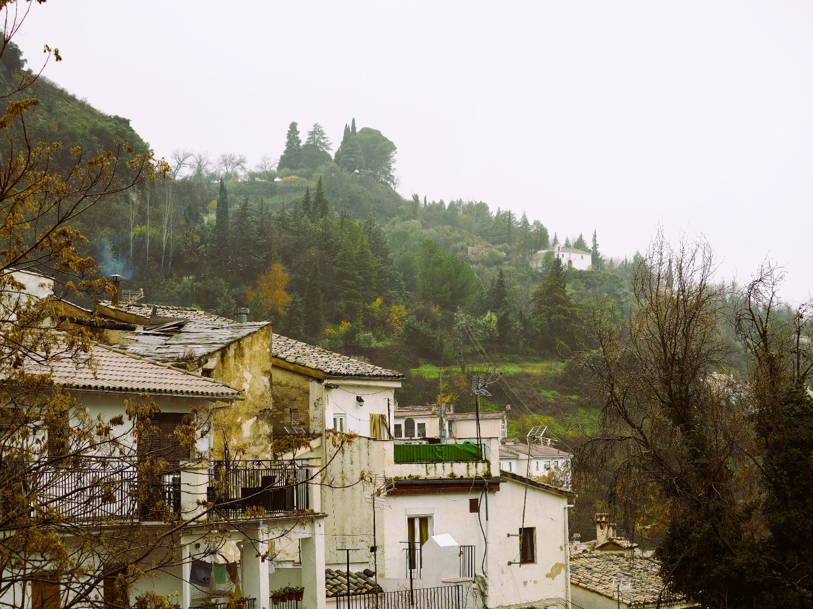 _C210795.jpg