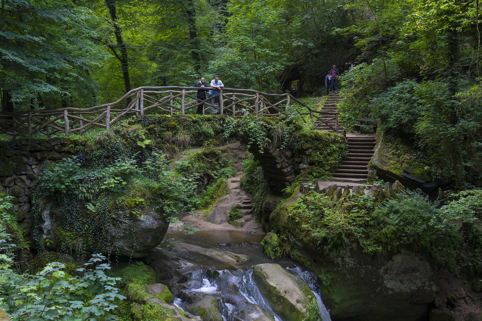_DSC7743.jpg