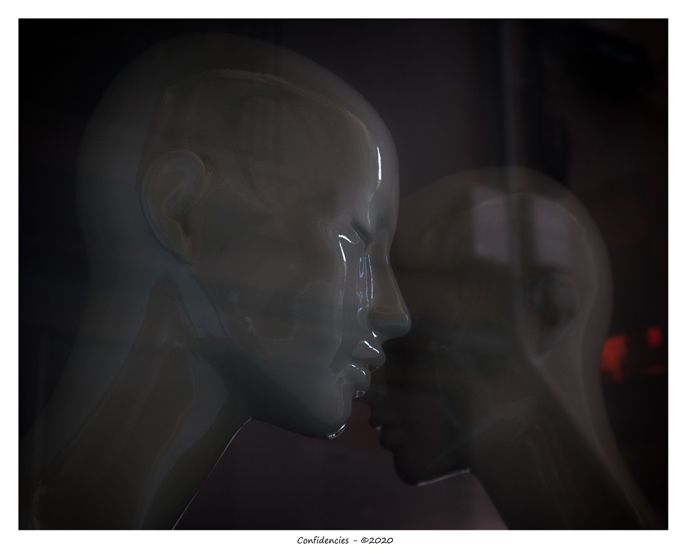 _DSF0071.jpg