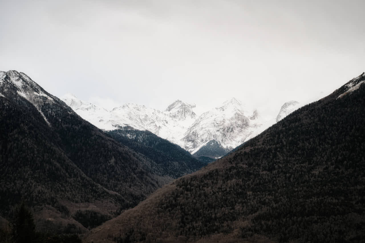 _DSF0753.jpg