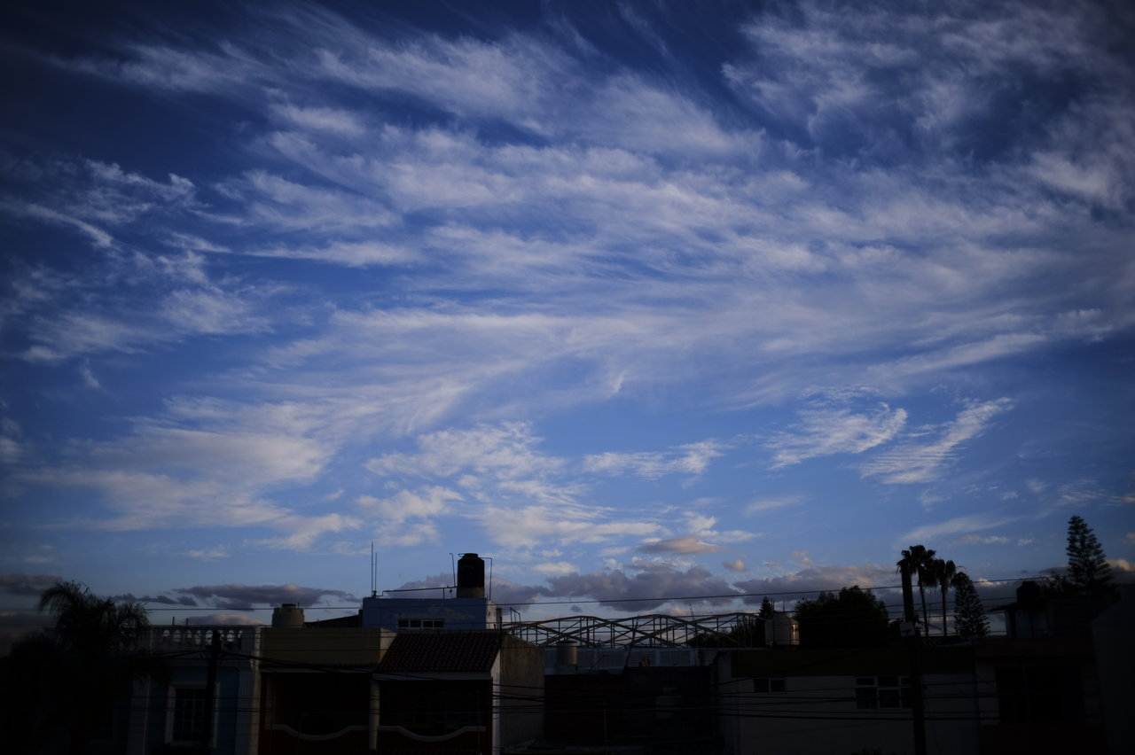 _DSF0804.JPG