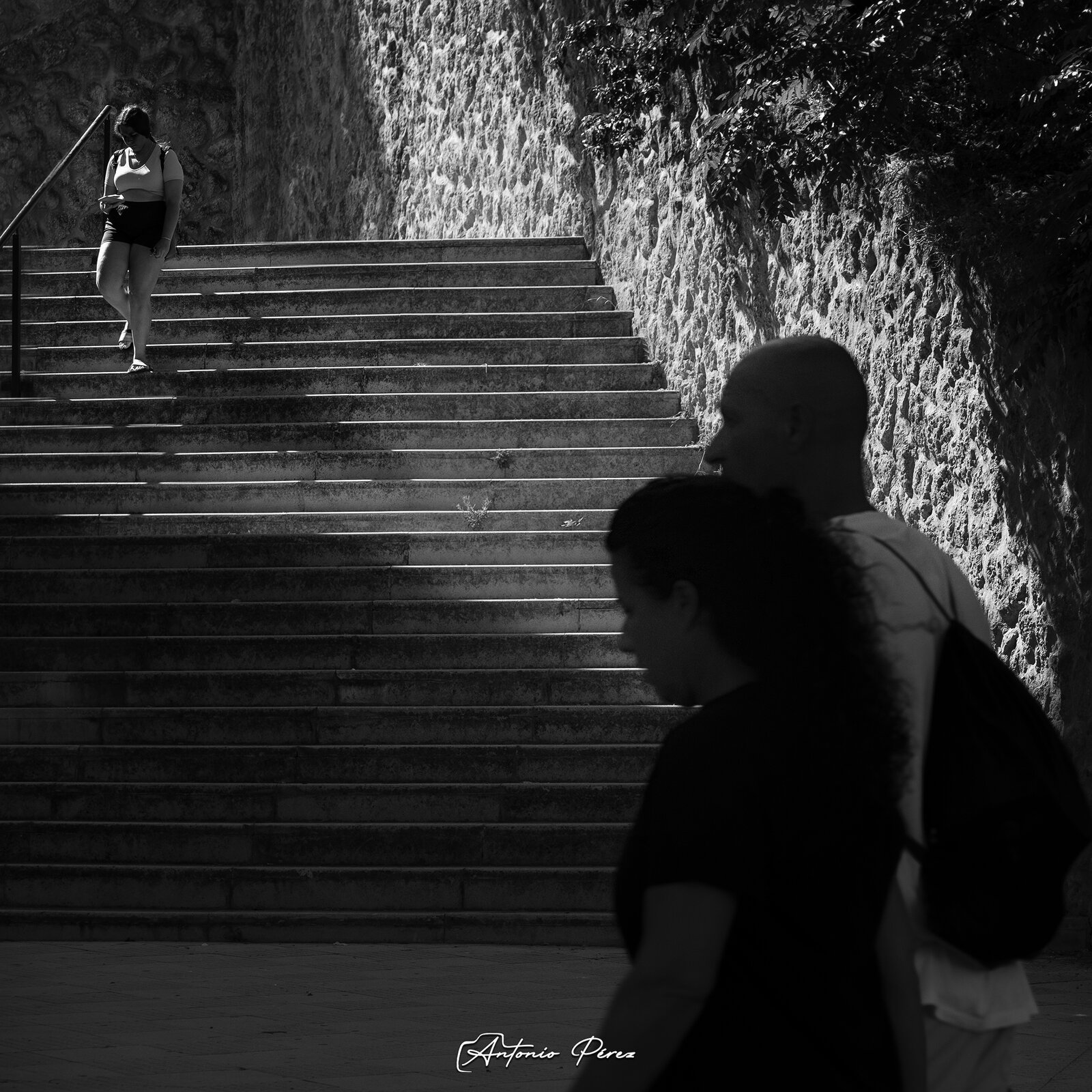 _DSF0870 bn.jpg