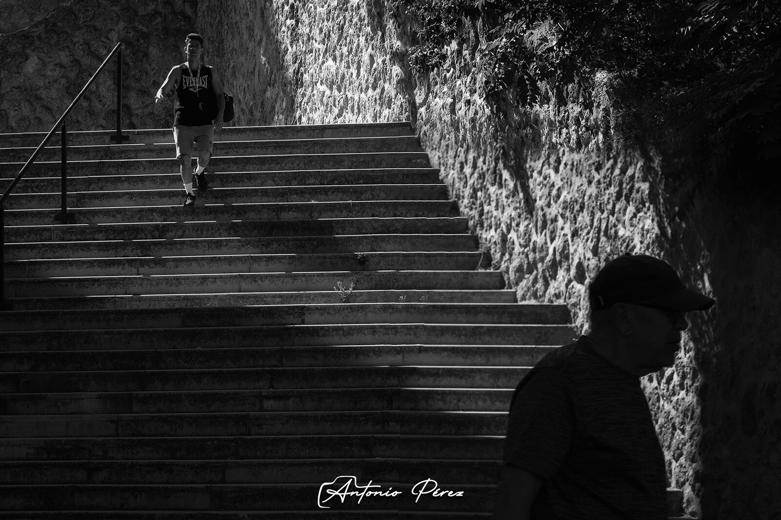 _DSF0875.jpg