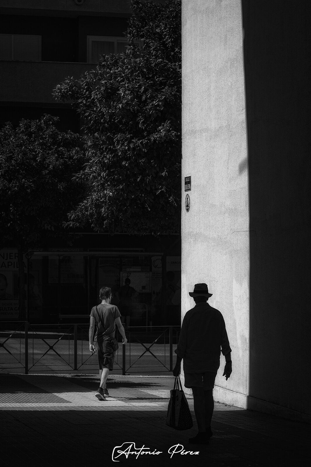 _DSF0914.jpg