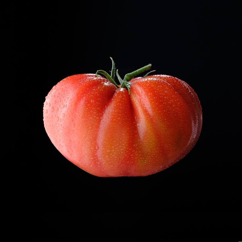 _DSF0960*.jpg