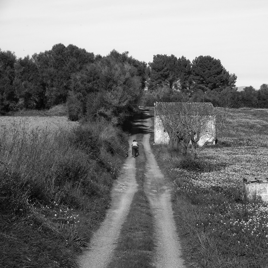 _DSF3717.jpg
