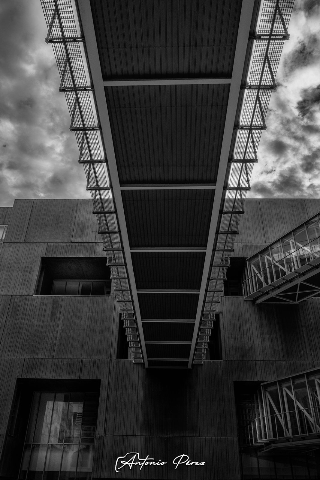 _DSF4279.jpg