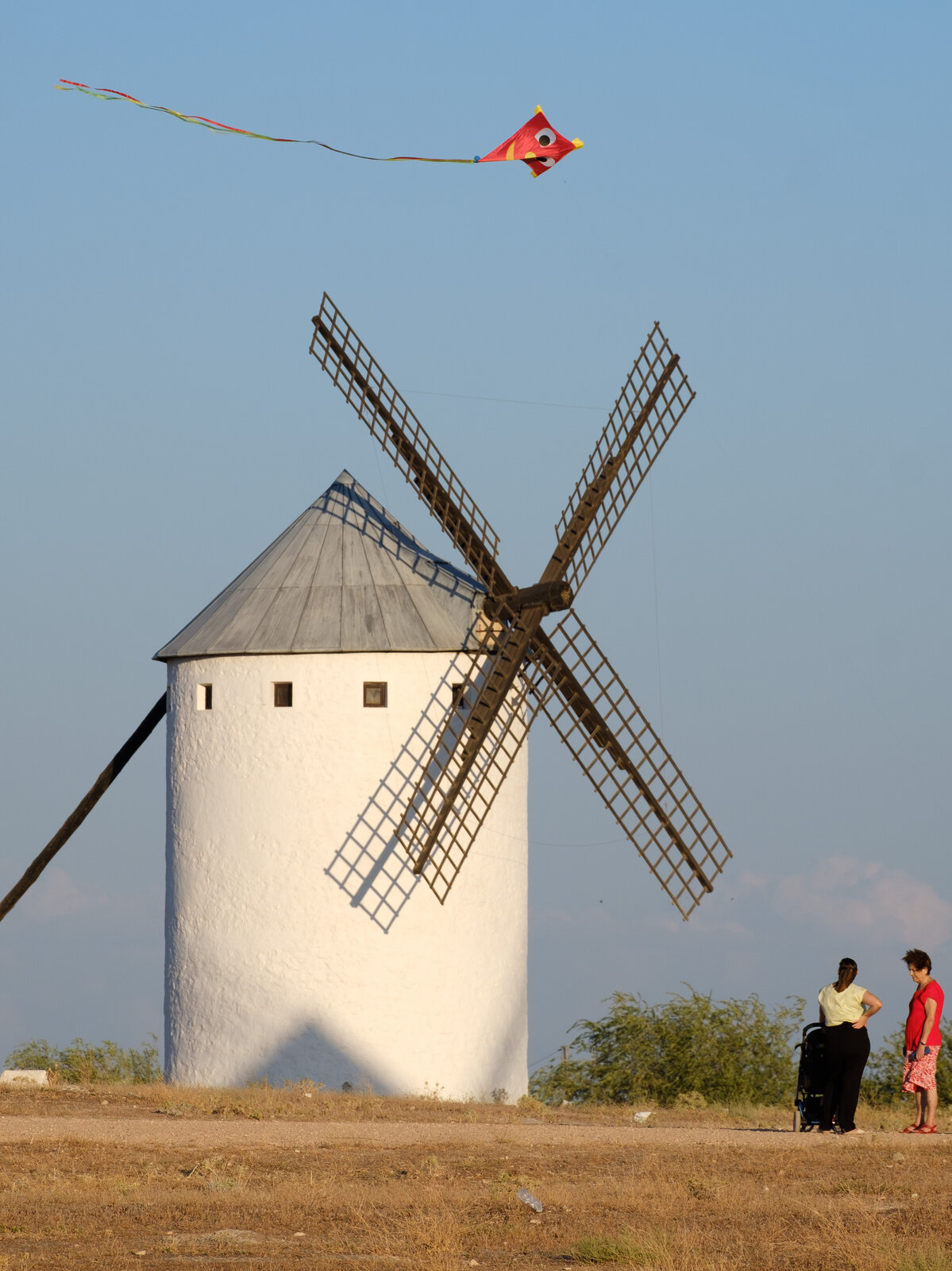 _DSF4561-1.jpg