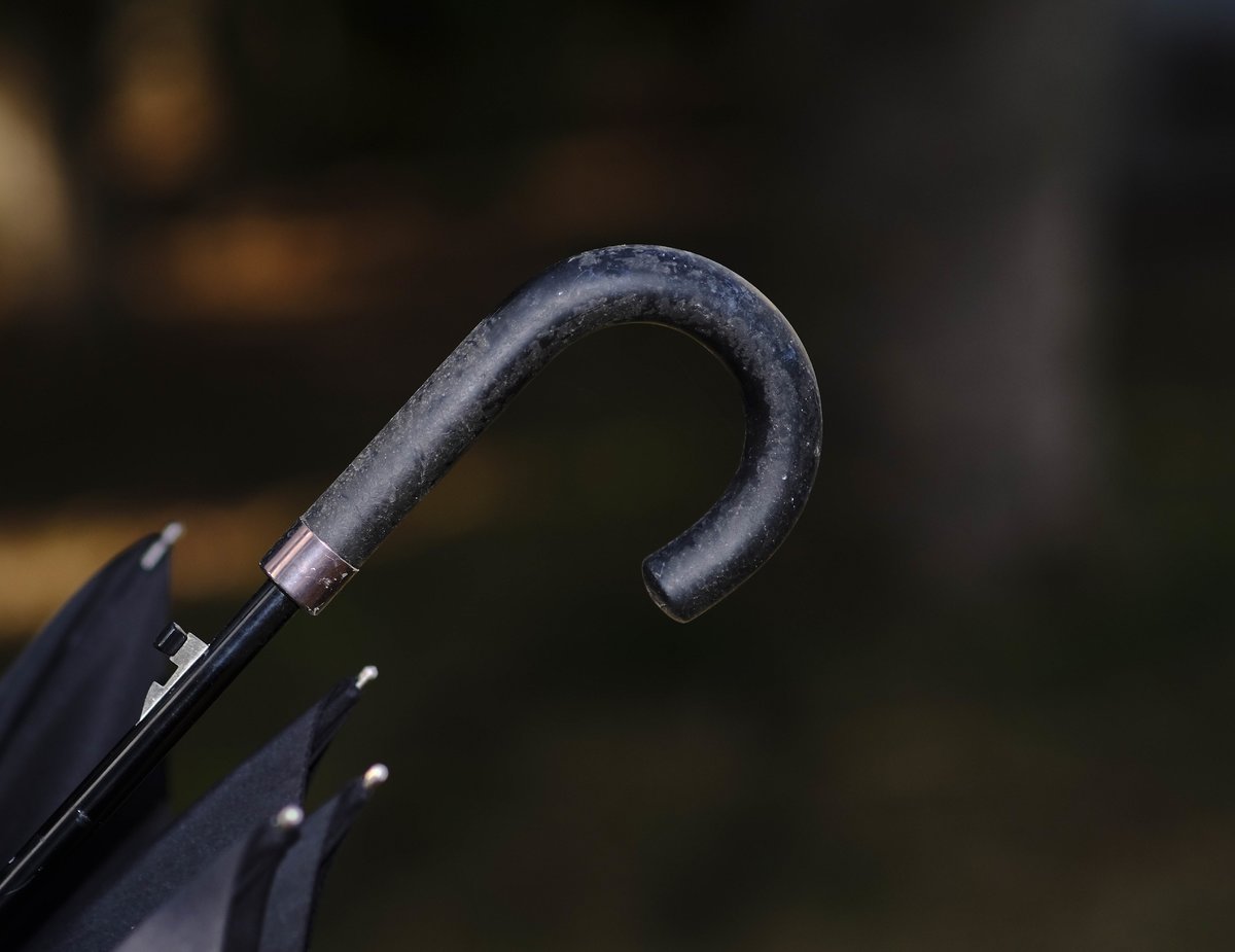 _DSF4824.JPG