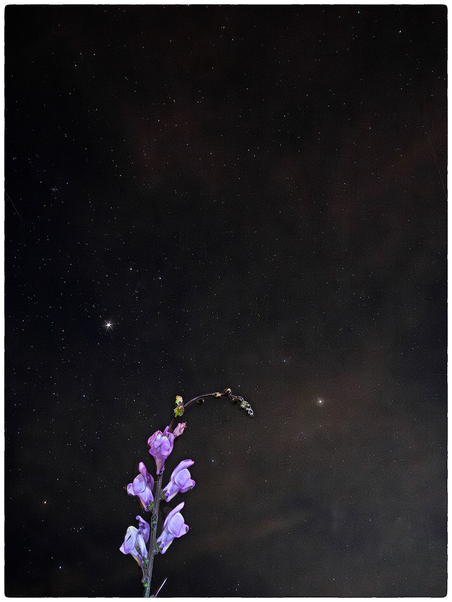 _DSF5280.jpg