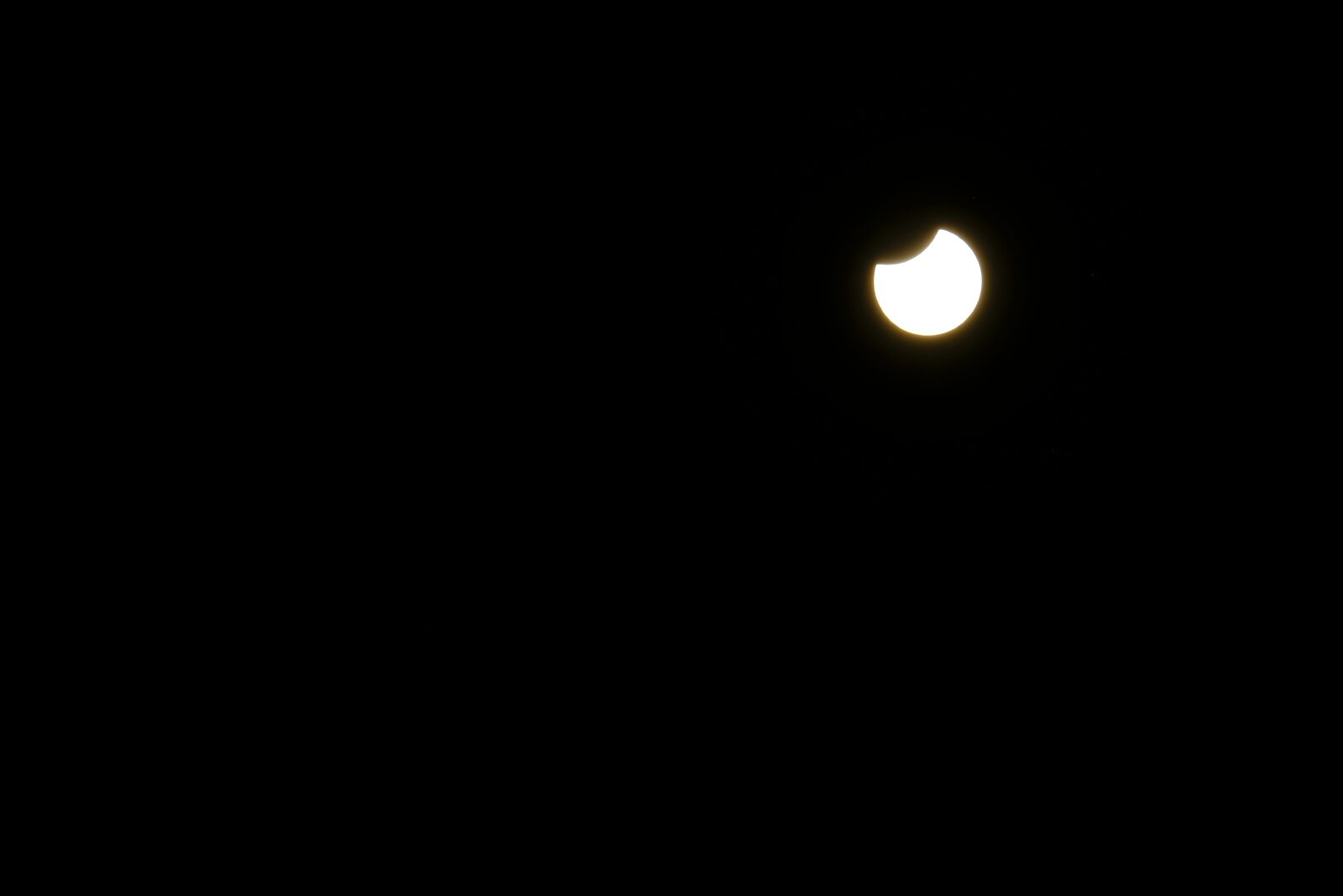 _DSF5823.JPG